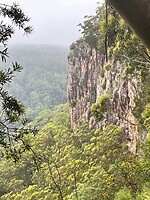 Uitzicht Springbrook