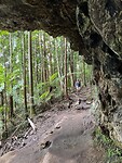 Springbrook