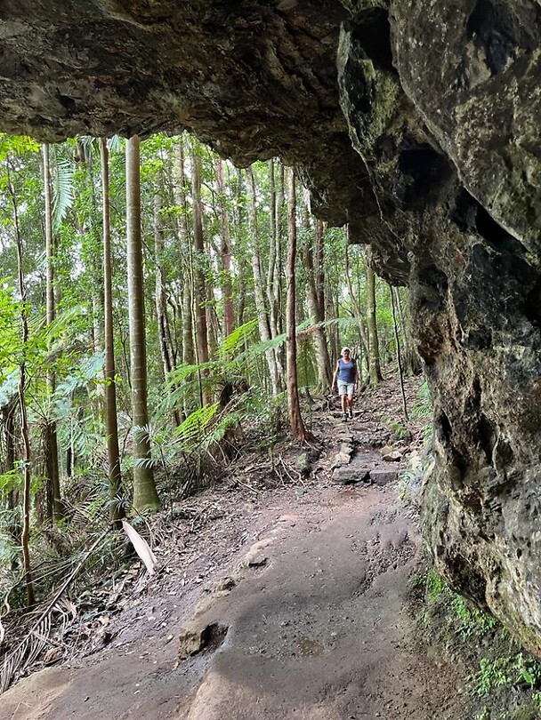 Springbrook
