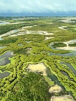 Uitzicht vanuit het vliegtuig