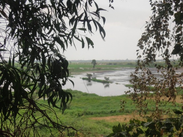 DSC03204