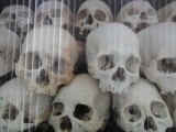 Killing Fields