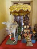 DSC03231