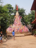 DSC03657