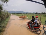 Tuktuk naar Blue Lagoon