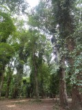 DSC03951