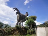 DSC04693