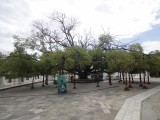 DSC05123