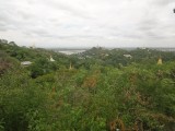 DSC05156