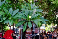 DSCF2707