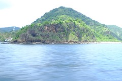 DSCF2733