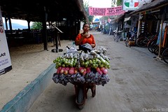 DSCF2758