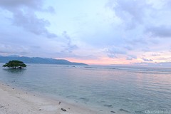 DSCF2782