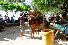 Het vervoer op de Gili's