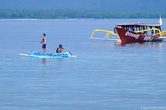 DSCF2854