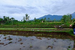DSCF2895