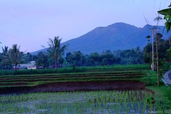 Uitzicht op Mount Rinjani
