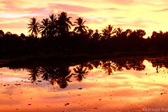 Zonsondergang Tetebatu