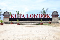 DSCF3067