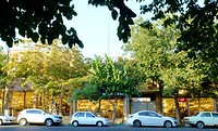 DSCF7221