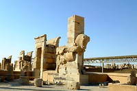 DSCF7566