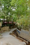 DSCF7643