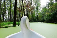 Waterfietsen!