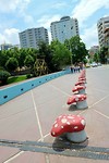 Tirana