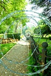 DSCF8647