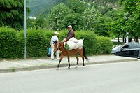 Mannetje op paard
