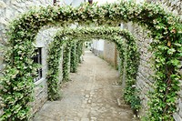 Spelen met bloemen