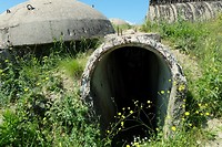 Natuurlijk bunkers