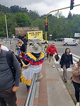Bogotá, miertje kopen?