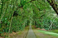 Park