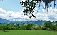 Park