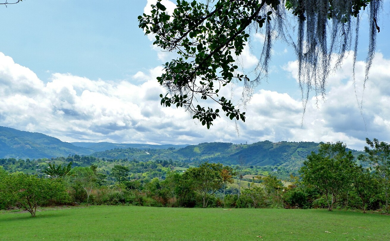 Park