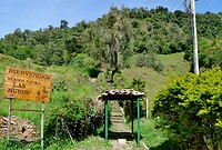 Jericó, start hike