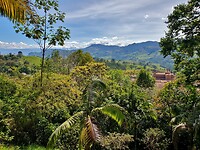 Jericó, uitzicht hike