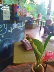 DSCF5325