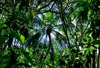 Parque Tayrona
