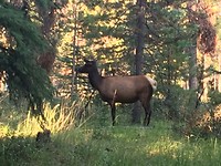 Charlotte.vanhove’s reisblog