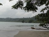 DSC02230