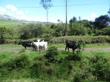 DSC02604