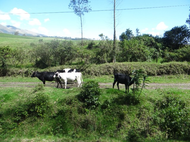 DSC02604