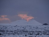 DSC03377