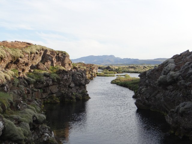 DSC03478