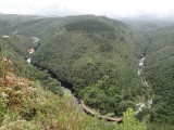 Wilderness