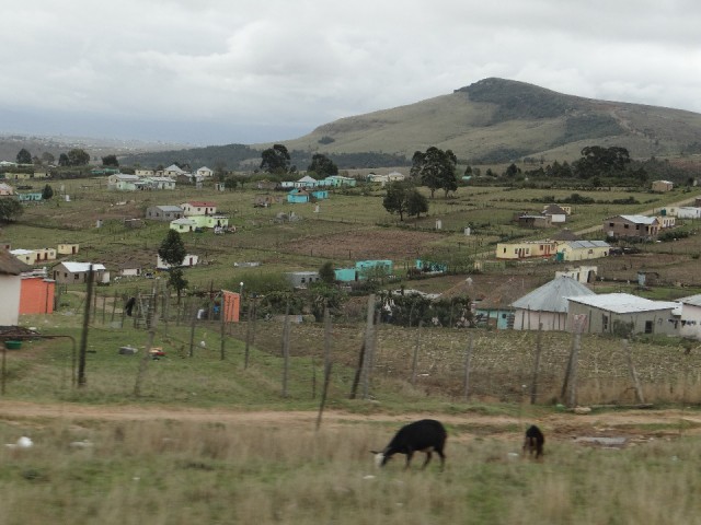 poverty