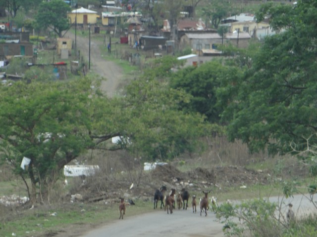 poverty
