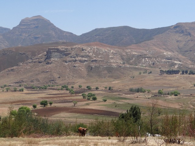 Lesotho